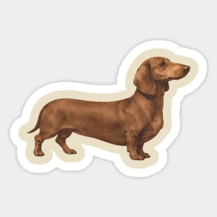 Vintage Dachshund Classic Sausage Dog Art Sticker